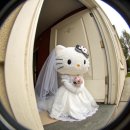 6871 | wedding #1. 이유플랜 계약 후기 이진 플래너님 ☘︎ ˖˚٠