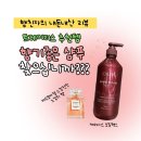 렉스 | 트레이더스 샴푸 추천 | 샤넬 향에 반한 케라시스 오일렉스 후기