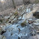 위드펫 빌리지 이미지