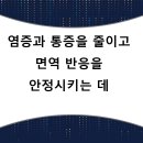 동탄뿌리한의원 네이버블로그