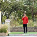 신길근린공원 이미지