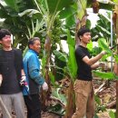 영걸농장 이미지