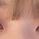 루나래쉬(LUNA LASH) 이미지