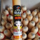 하우스지킴이 이미지