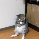 북부의원 이미지