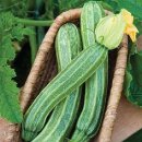 옥산어린이공원 이미지