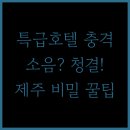 글래드호텔앤리조트(주)메종글래드제주 | 랜딩관 하얏트 메종 글래드 실제 후기 청결도 소음 문제 당신이 몰랐던 제주 호텔의 비밀