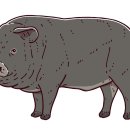 돼지꼬리 이미지