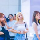 이나경 카카오 검색결과