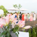 praise suite 이미지