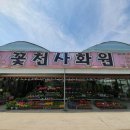 천사꽃화원 이미지