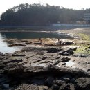 고성자연사박물관 이미지