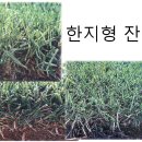 골프신지환 이미지