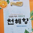 귤마씸