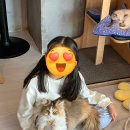 아가마미 고양이카페 이미지