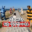 강원도 고성 가족여행 | 켄싱턴리조트 설악비치 1박 + 하늬라벤더팜 당일 코스 완벽 정리