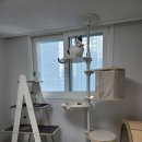 지그재그 - 결합 | [캣폴] 내핑하우스 튼튼한 고양이 캣폴 조립 및 사용후기