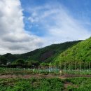 2020농장 이미지