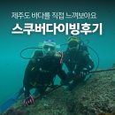 진스쿠버 | 수영 못해도 가능! 제주도 여행 중 방문한 스쿠버다이빙후기