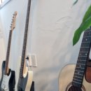 지인음악학원 이미지