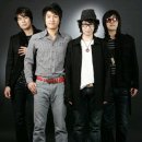 넬 카카오 검색결과