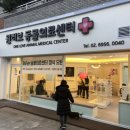 원러브동물의료센터 이미지
