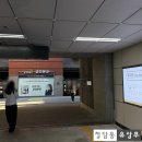 고령주유소 | [신논현 자매수산 강남본점] 겨울 대방어회와 멍게의 싱싱함과 함께 한 술자리