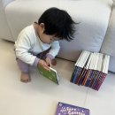 (주)올어바웃바디 | 24개월 두돌아기 소전집 추천 훈민출판사 올어바웃마이바디 후기