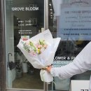 그로브블룸 이미지
