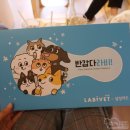한사랑펫 | 홍대 포인핸드 유기견 입양 카페, 반려견 유기묘 입양문화센터