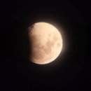 실과 함께 이미지