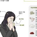 대조한의원 이미지