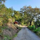 김창식효자문 이미지