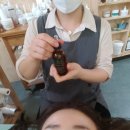 휠로스 인 김미주 스킨케어 | 경북 경산피부관리 휠로스in김미주 브레인테라피 진심힐링