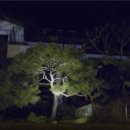 솔로몬의 집 이미지