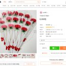 코코세미 이미지