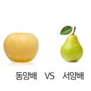 오늘은과일 - 양주시 평화로1435번길 4-5 | 오늘은과일