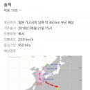 바느질하는고양이 이미지