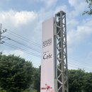 달리아커피 단장면 | 밀양 대형 베이커리카페 달리아커피 단장면 내돈내산 후기