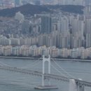 땅집고부동산공인중개사사무소 이미지