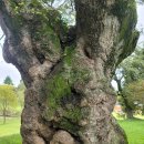 무장읍성 이미지