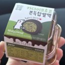 씨유진주연암공대앞점 | 가을인 척하는 겨울