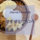 양이펀치 | 건강한 다이어트식 요거트볼 찾는다면 광명 데일리앤그릭 추천 (애플펀치 후기)
