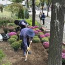 정왕본동행정복지센터 이미지