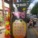 댕댕이 애견미용샵 이미지