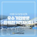 인텍전기전자(주)