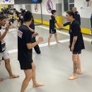 팀크로우 MMA 이미지