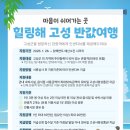 11650-17-204-6 | 힐링해 고성 반값여행 다녀온 후기 가볼만한곳 | 신청부터 환급까지