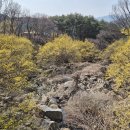 한봉경로당 Daum카페