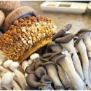 자연샤브 이미지